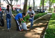 ¿Cómo cuidar los parques y jardines? como-cuidar-los-parques-y-jardines