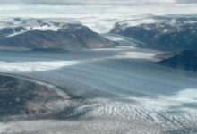 ¿Cómo es el bioma de los glaciares? como-es-el-bioma-de-los-glaciares
