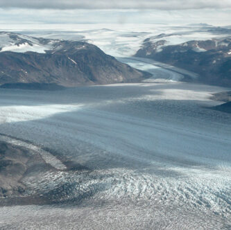 ¿Cómo es el bioma de los glaciares?