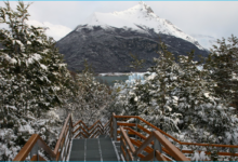 ¿Cómo ir del centro de Calafate al Parque Nacional Los Glaciares? como-ir-del-centro-de-calafate-al-parque-nacional-los-glaciares
