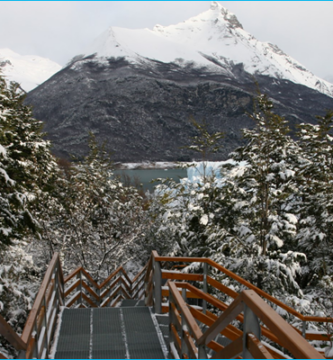 ¿Cómo ir del centro de Calafate al Parque Nacional Los Glaciares?