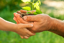¿Cómo promover el respeto a la naturaleza? como-promover-el-respeto-a-la-naturaleza