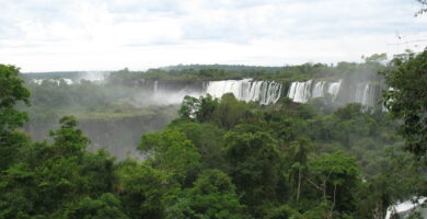 ¿Cuál es el bioma de Misiones? ¿Cuál es el bioma de Misiones?