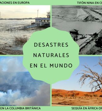 ¿Cuál es la causa de los desastres naturales?