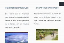 ¿Cuál es la diferencia entre un fenómeno natural y un desastre natural? cual-es-la-diferencia-entre-un-fenomeno-natural-y-un-desastre-natural