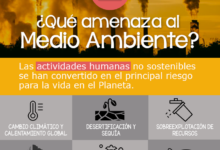 ¿Cuál es la mayor amenaza para el medio ambiente? cual-es-la-mayor-amenaza-para-el-medio-ambiente