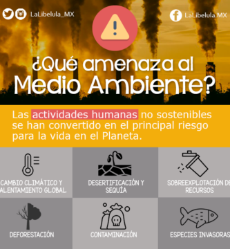¿Cuál es la mayor amenaza para el medio ambiente? ¿Cuál es la mayor amenaza para el medio ambiente?
