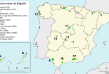 ¿Cuál es la provincia con mayor cantidad de parques nacionales? cual-es-la-provincia-con-mayor-cantidad-de-parques-nacionales