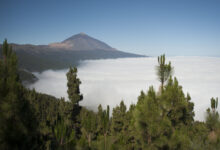 ¿Cuáles son las amenazas del Parque Nacional? cuales-son-las-amenazas-del-parque-nacional