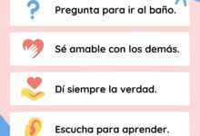 ¿Cuáles son las normas de convivencia pública? cuales-son-las-normas-de-convivencia-publica