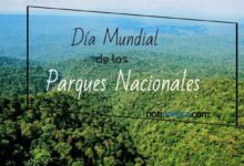 ¿Cuándo se celebra el Día del Parque Nacional? cuando-se-celebra-el-dia-del-parque-nacional