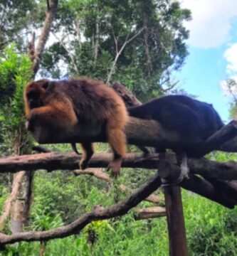 ¿Cuánto cuesta la entrada a güirá Oga? ¿Cuánto cuesta la entrada a güirá Oga?