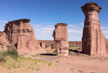 ¿Por qué se crean los parques nacionales? por-que-se-crean-los-parques-nacionales