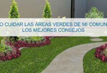 ¿Qué debemos hacer para proteger las áreas verdes? que-debemos-hacer-para-proteger-las-areas-verdes