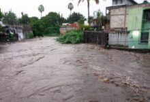 ¿Qué desastres naturales han ocurrido en los últimos 20 años? que-desastres-naturales-han-ocurrido-en-los-ultimos-20-anos