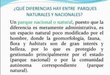 ¿Qué diferencia hay entre un Parque Nacional y una reserva natural? que-diferencia-hay-entre-un-parque-nacional-y-una-reserva-natural