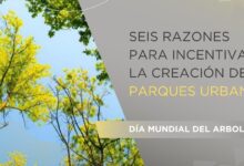 ¿Qué es lo más importante de un parque? que-es-lo-mas-importante-de-un-parque