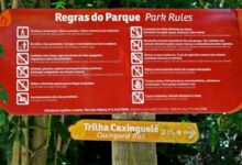 ¿Qué es un reglamento general? que-es-un-reglamento-general