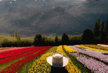 ¿Qué hacer en Esquel y Trevelin? que-hacer-en-esquel-y-trevelin