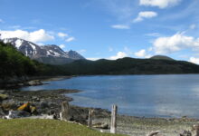 ¿Que hay en el Parque Nacional de Tierra del Fuego? que-hay-en-el-parque-nacional-de-tierra-del-fuego