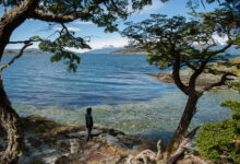 ¿Qué hay para hacer en el Parque Nacional de Ushuaia? que-hay-para-hacer-en-el-parque-nacional-de-ushuaia