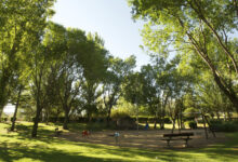 ¿Qué pasa si no cuidamos las áreas verdes? que-pasa-si-no-cuidamos-las-areas-verdes