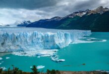 ¿Qué protege el Glaciar Perito Moreno? que-protege-el-glaciar-perito-moreno