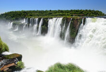 ¿Qué protege el parque Iguazú? que-protege-el-parque-iguazu