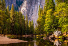 ¿Que se protege en el Parque Nacional? que-se-protege-en-el-parque-nacional