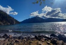 ¿Que se protege en el Parque Nacional Lago Puelo? que-se-protege-en-el-parque-nacional-lago-puelo
