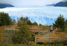 ¿Qué se puede ver en el Parque Nacional Los Glaciares? que-se-puede-ver-en-el-parque-nacional-los-glaciares