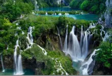 ¿Qué significa una reserva natural? que-significa-una-reserva-natural