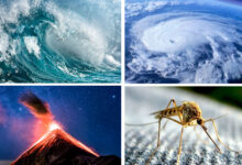 ¿Qué son las principales amenazas naturales? que-son-las-principales-amenazas-naturales