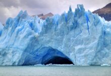 ¿Qué tipo de ecosistema es el glaciar? que-tipo-de-ecosistema-es-el-glaciar
