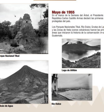 ¿Quién declara un Parque Nacional?