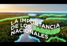 ¿Quién se encarga de proteger los Parques Nacionales? quien-se-encarga-de-proteger-los-parques-nacionales